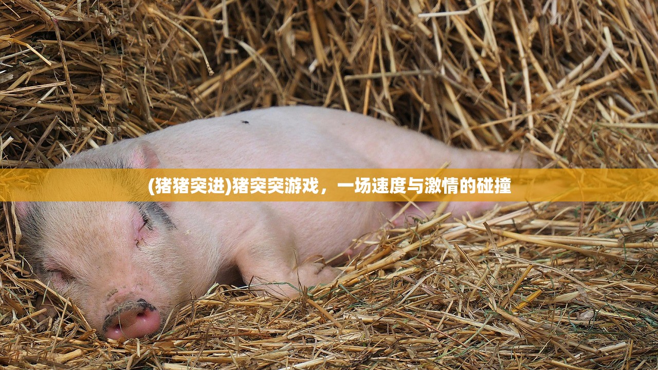 (天使之翼游戏手机版)天使之翼游戏，探索翅膀背后的故事
