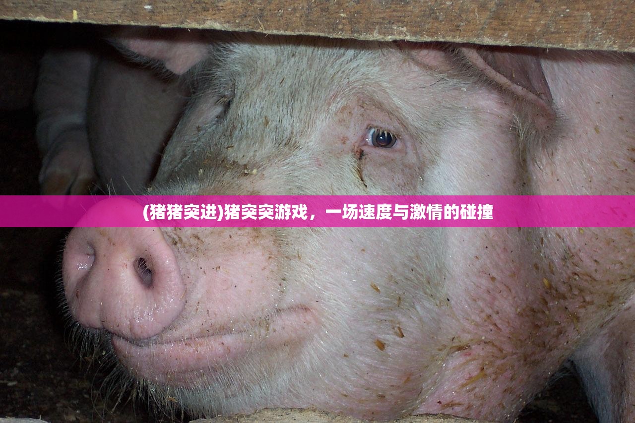 (猪猪突进)猪突突游戏，一场速度与激情的碰撞