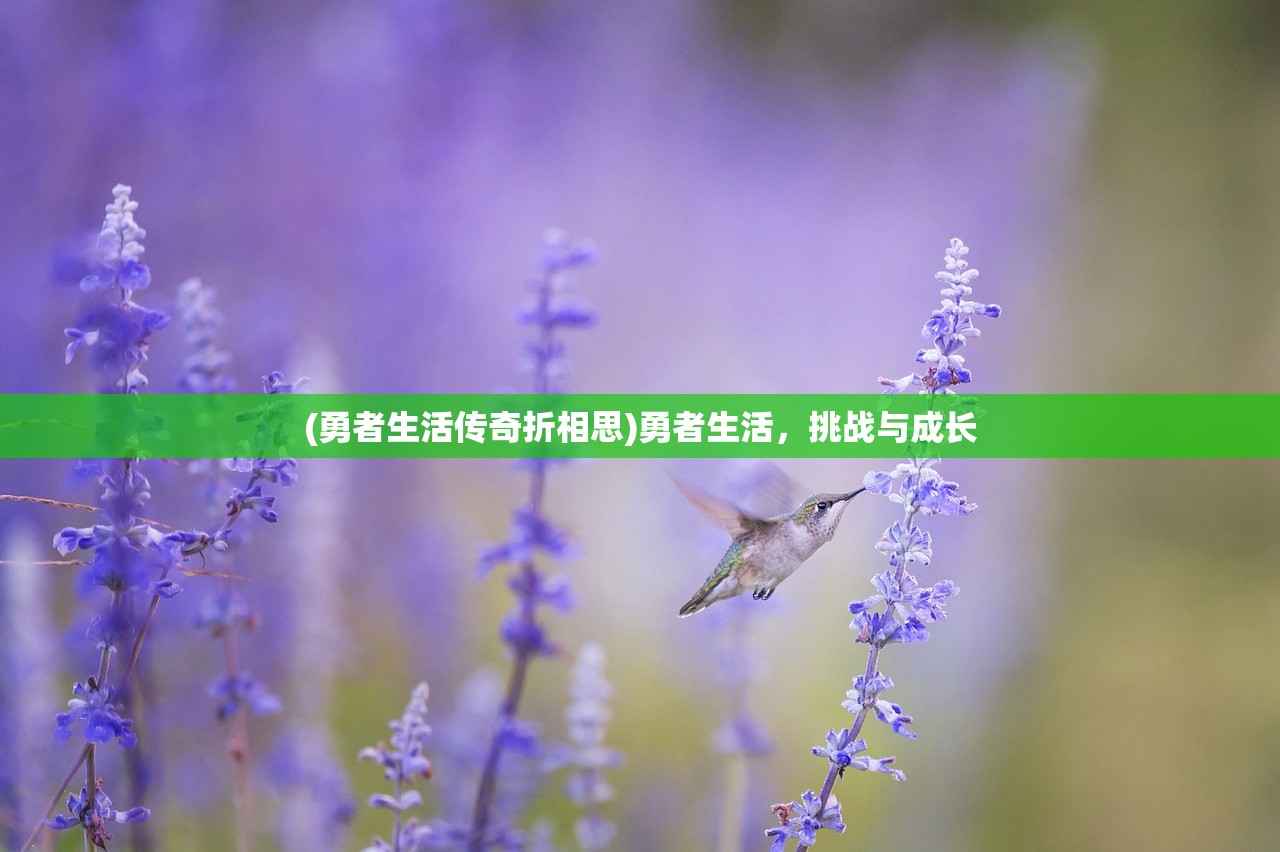 (勇者生活传奇折相思)勇者生活，挑战与成长