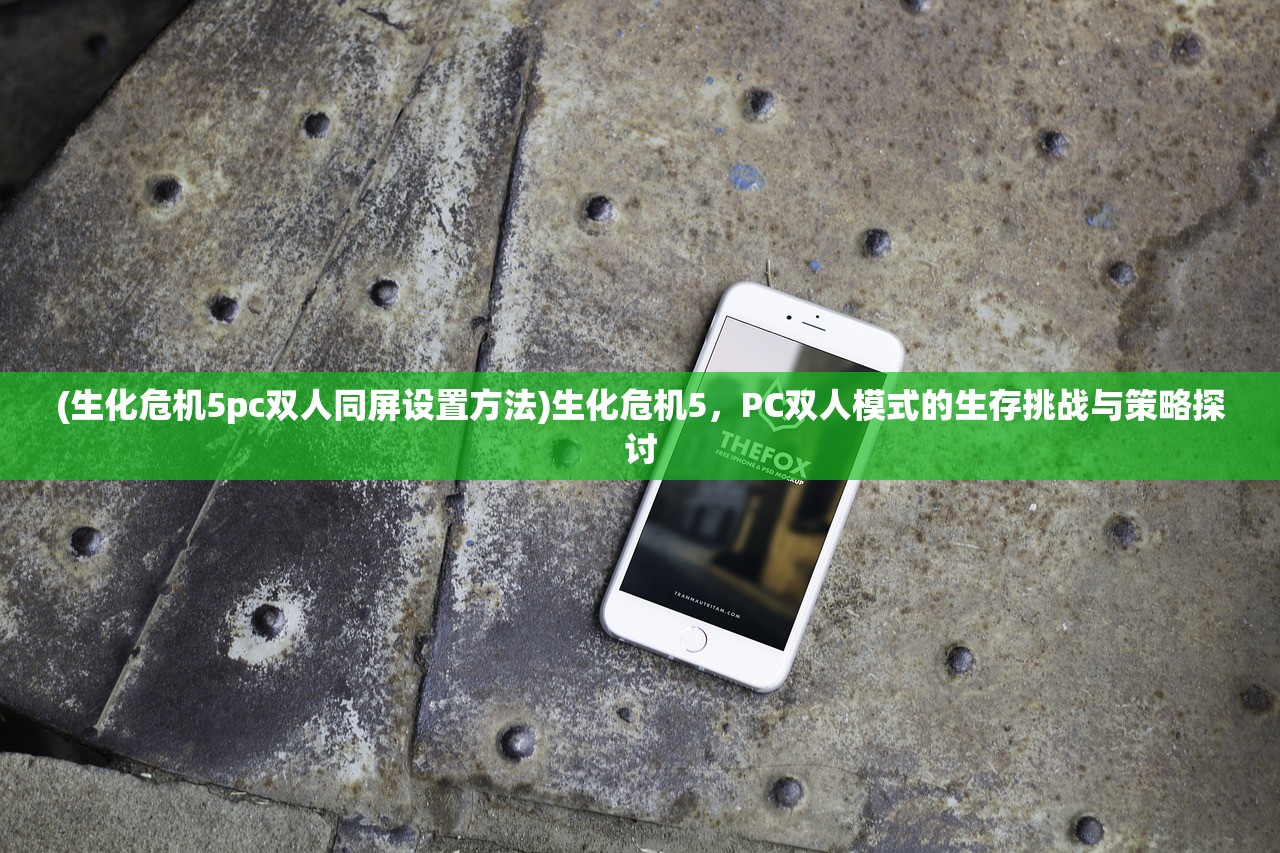 (生化危机5pc双人同屏设置方法)生化危机5，PC双人模式的生存挑战与策略探讨