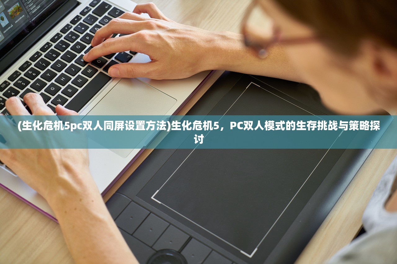 (生化危机5pc双人同屏设置方法)生化危机5，PC双人模式的生存挑战与策略探讨