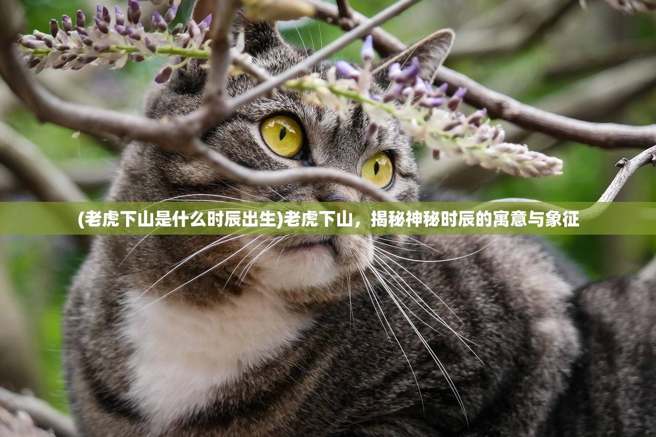 (大刀客攻略)大刀客满分连击，技艺、策略与荣耀的交融