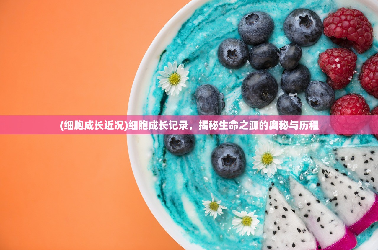 (细胞成长近况)细胞成长记录，揭秘生命之源的奥秘与历程