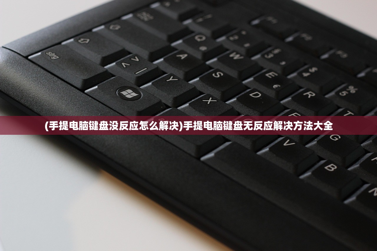 (手提电脑键盘没反应怎么解决)手提电脑键盘无反应解决方法大全