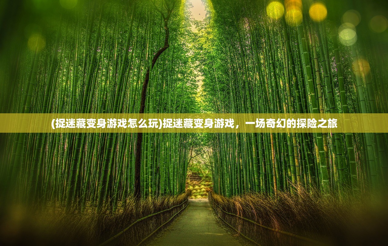 (捉迷藏变身游戏怎么玩)捉迷藏变身游戏，一场奇幻的探险之旅