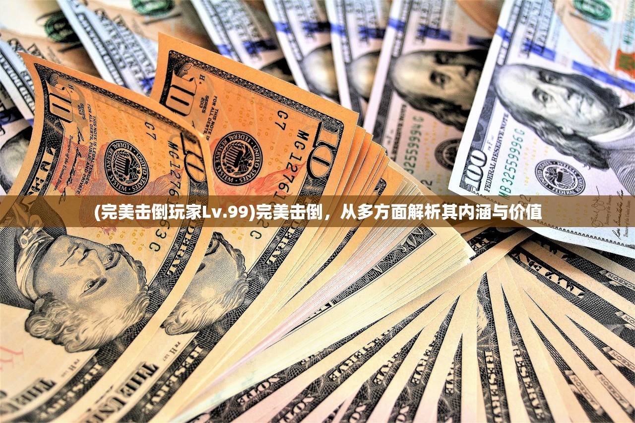 (完美击倒玩家Lv.99)完美击倒，从多方面解析其内涵与价值