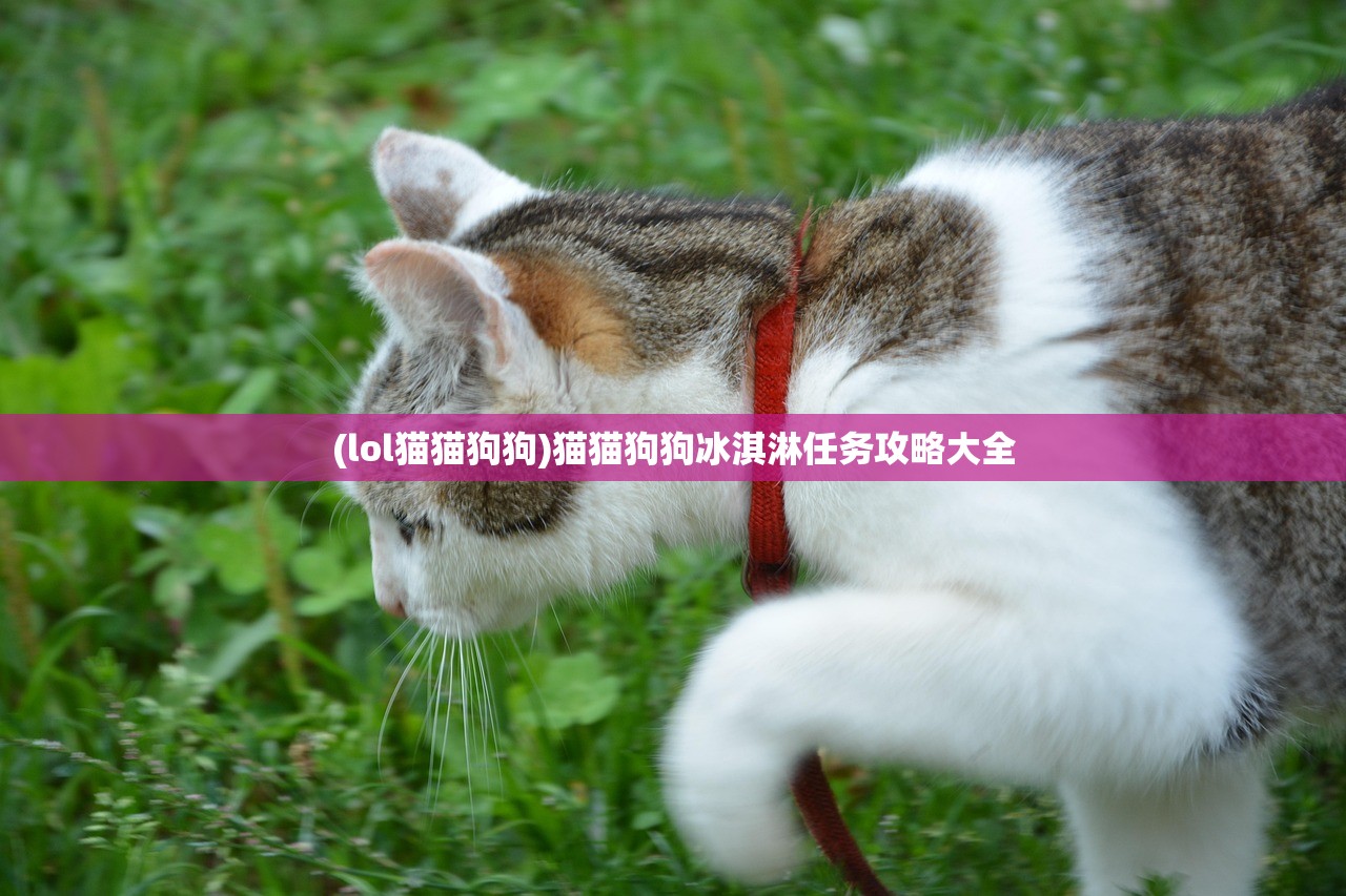 (lol猫猫狗狗)猫猫狗狗冰淇淋任务攻略大全