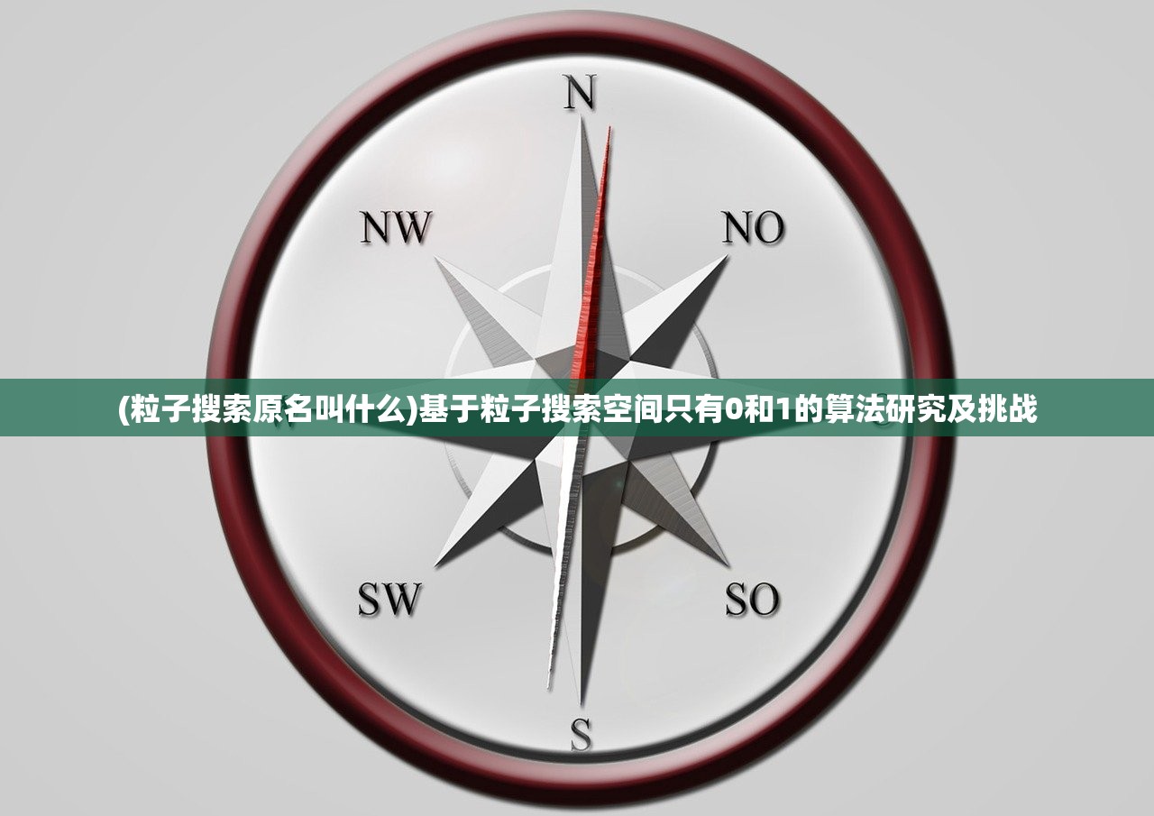 (粒子搜索原名叫什么)基于粒子搜索空间只有0和1的算法研究及挑战