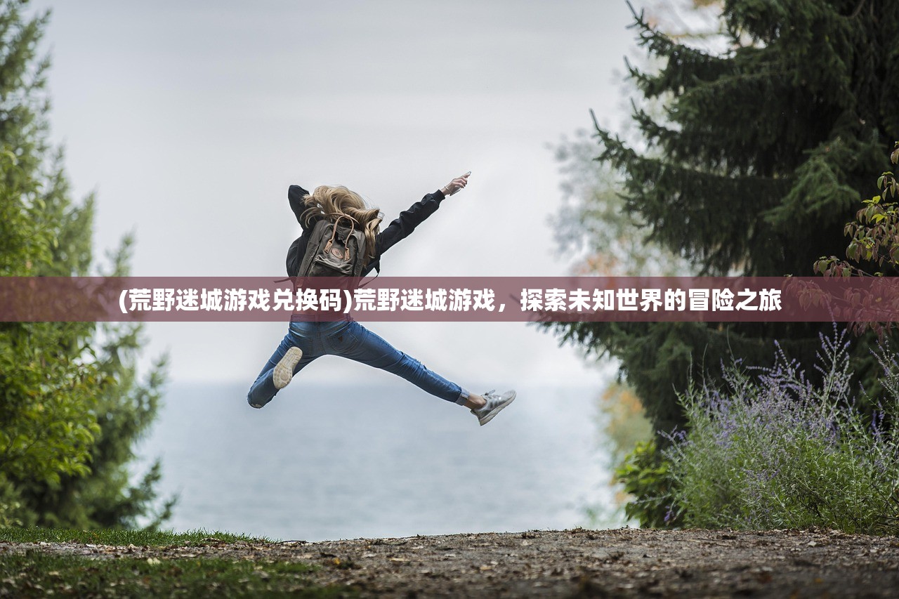 (精灵之境下架了)精灵之境无法启动的原因解析及解决方案
