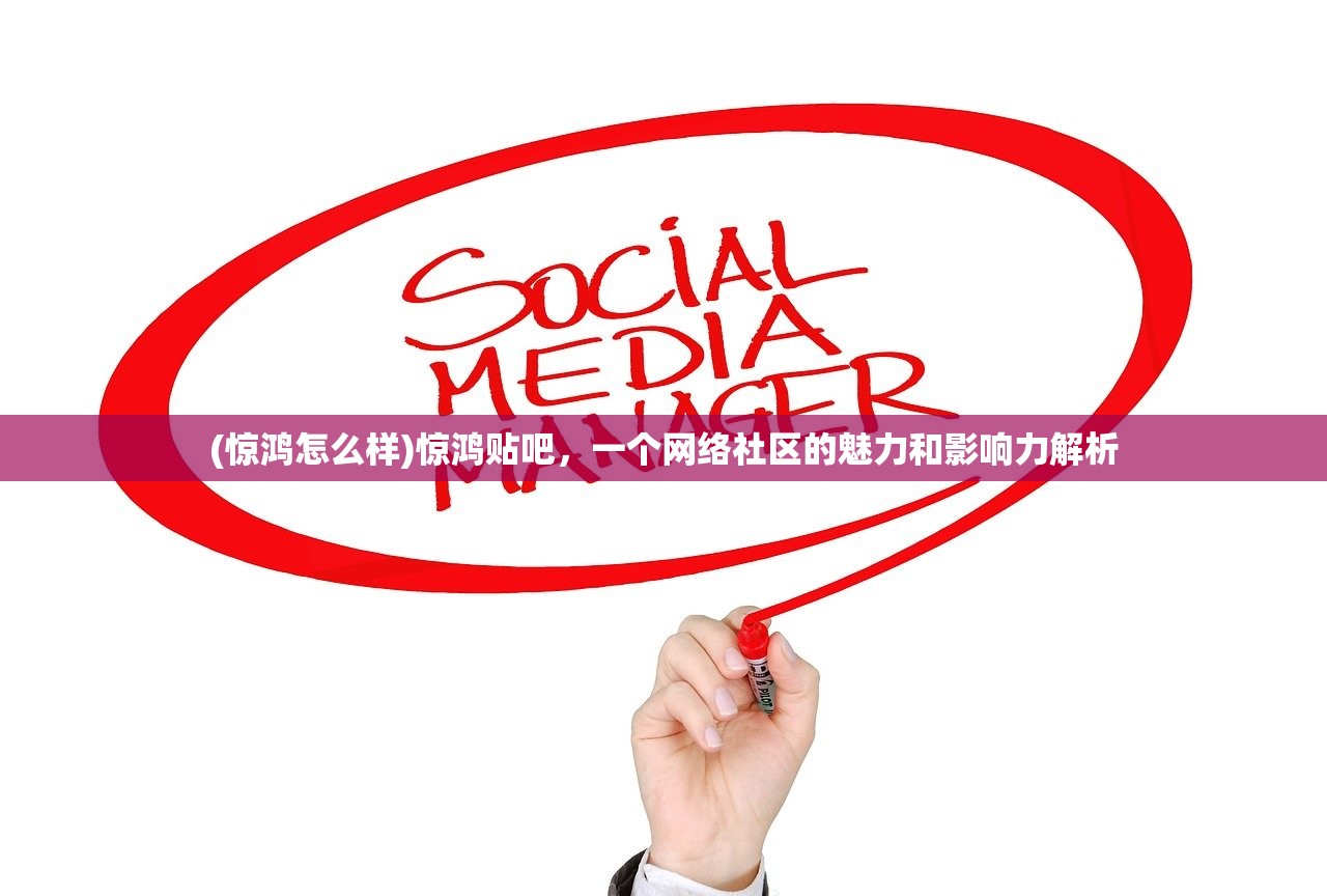 (惊鸿怎么样)惊鸿贴吧，一个网络社区的魅力和影响力解析
