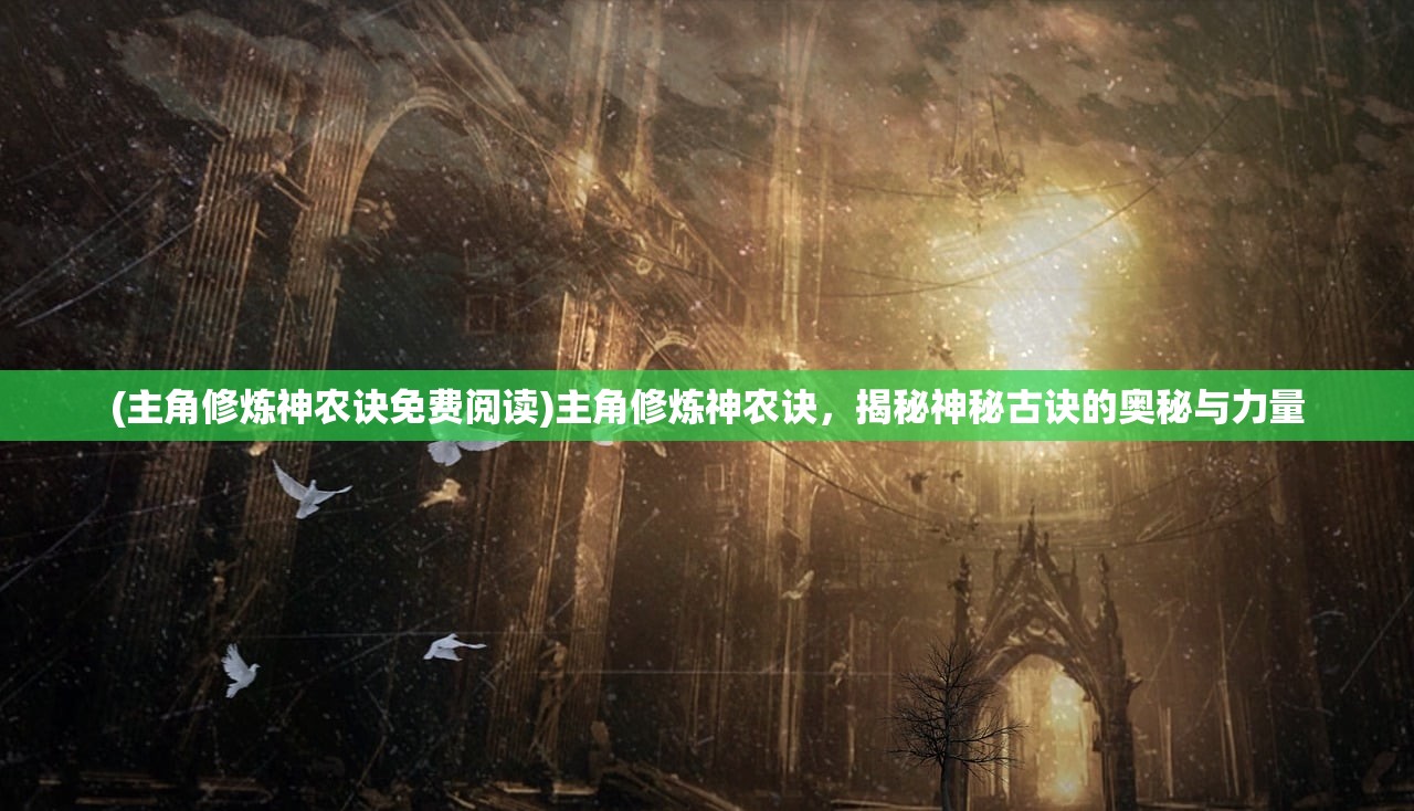 (主角修炼神农诀免费阅读)主角修炼神农诀，揭秘神秘古诀的奥秘与力量