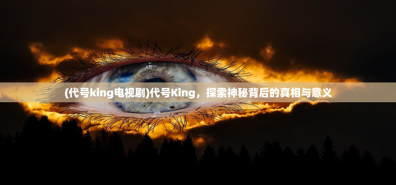 (代号king电视剧)代号King，探索神秘背后的真相与意义