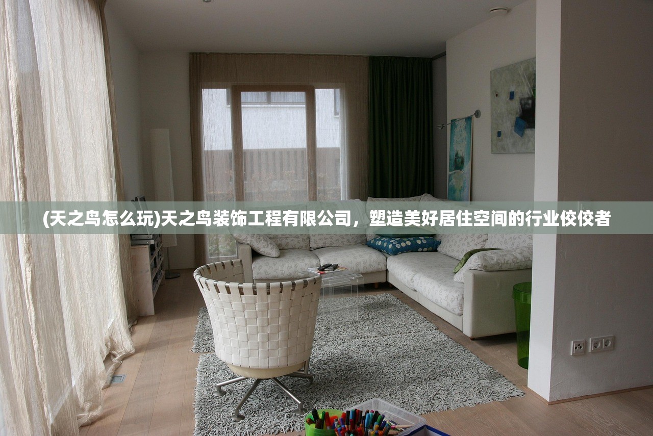 (天之鸟怎么玩)天之鸟装饰工程有限公司，塑造美好居住空间的行业佼佼者