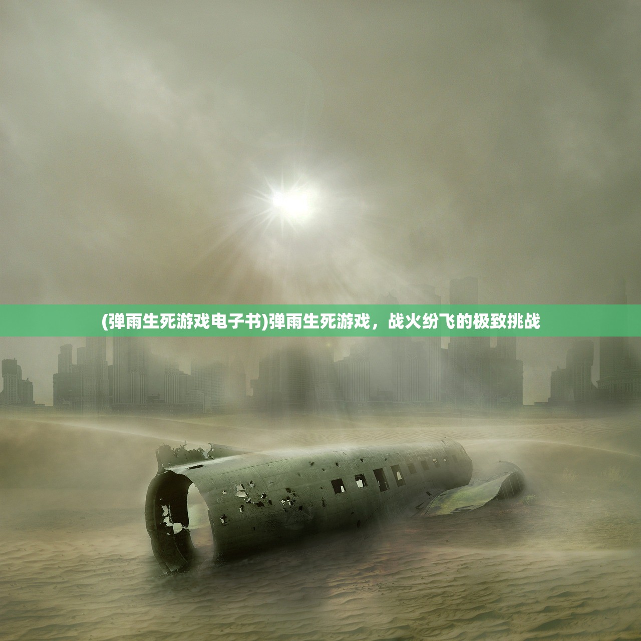 (弹雨生死游戏电子书)弹雨生死游戏，战火纷飞的极致挑战