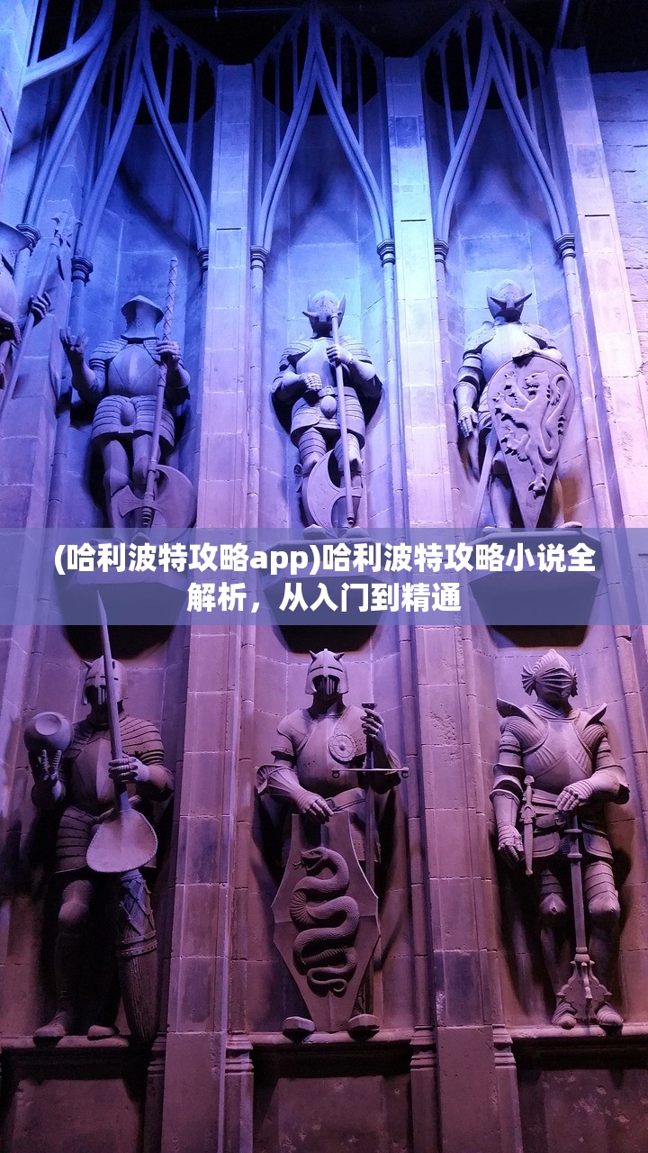 (哈利波特攻略app)哈利波特攻略小说全解析，从入门到精通