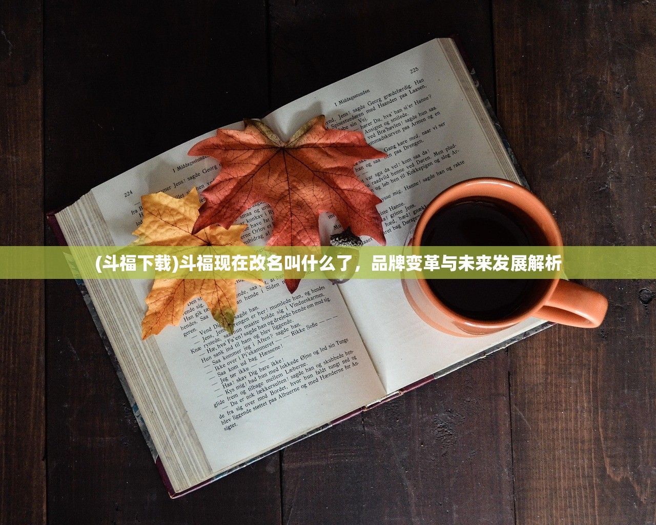 (斗福下载)斗福现在改名叫什么了，品牌变革与未来发展解析