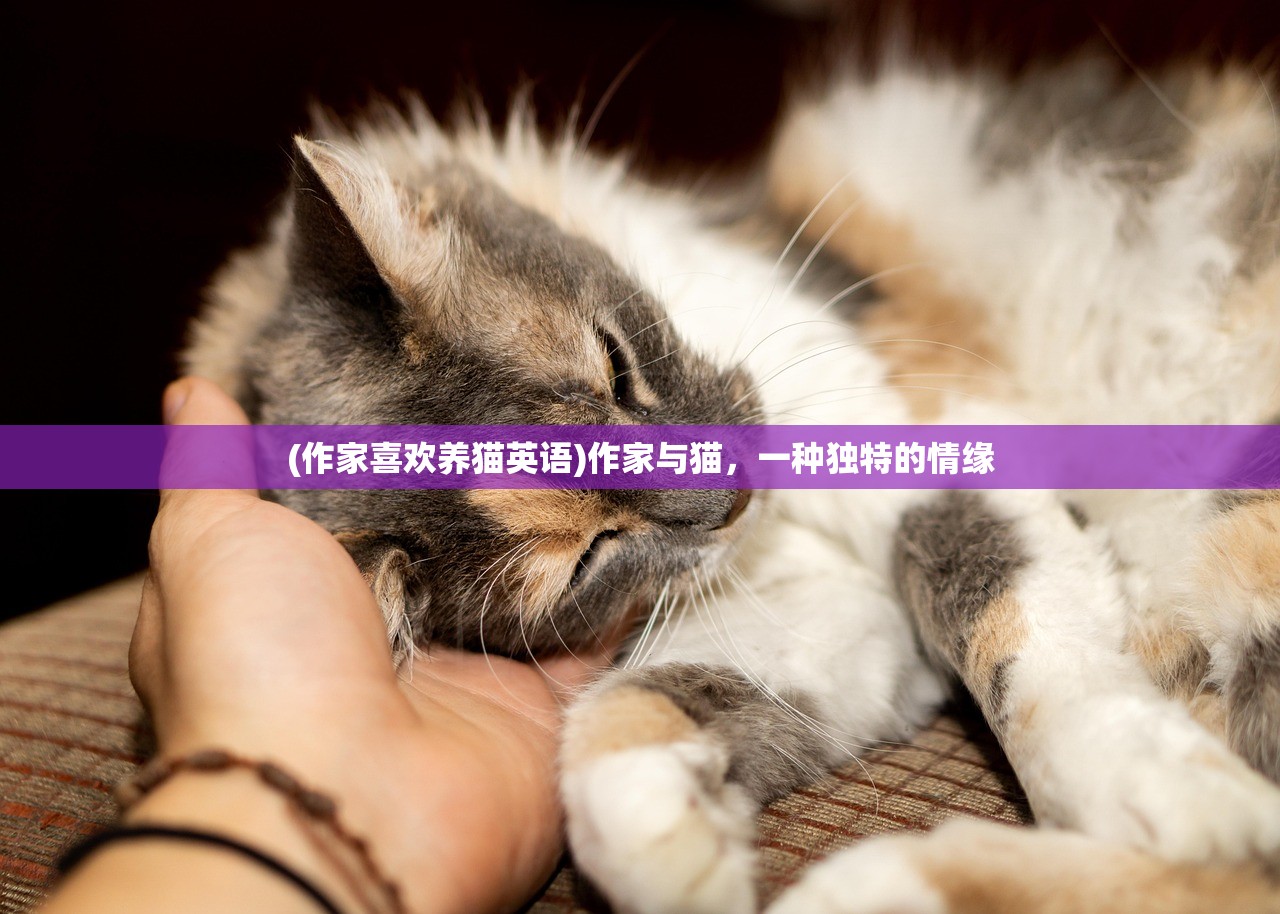 (作家喜欢养猫英语)作家与猫，一种独特的情缘