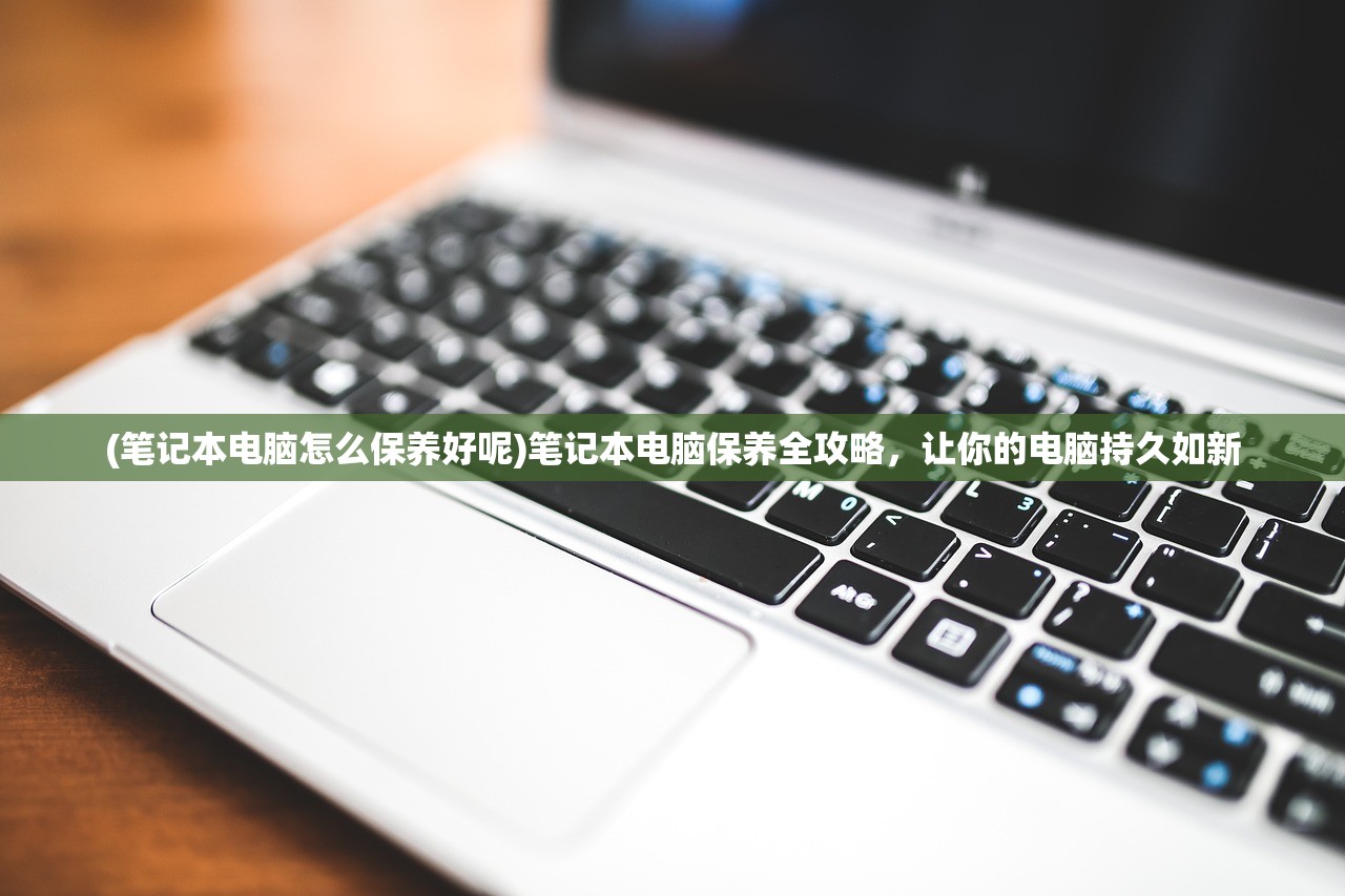 (虾仁修仙记动画全集)虾仁修仙记，奇幻之旅与深度探索