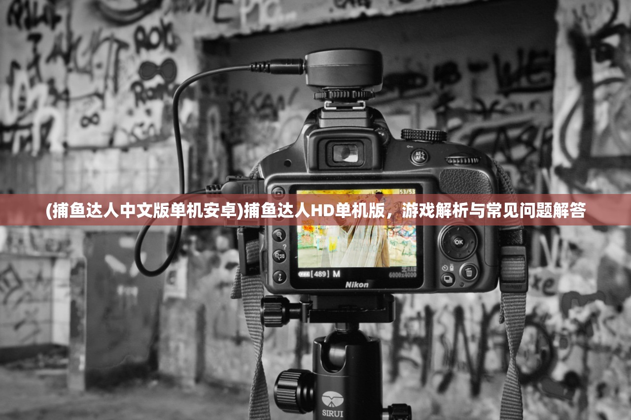 (捕鱼达人中文版单机安卓)捕鱼达人HD单机版，游戏解析与常见问题解答