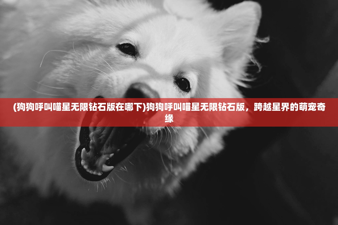 (狗狗呼叫喵星无限钻石版在哪下)狗狗呼叫喵星无限钻石版，跨越星界的萌宠奇缘