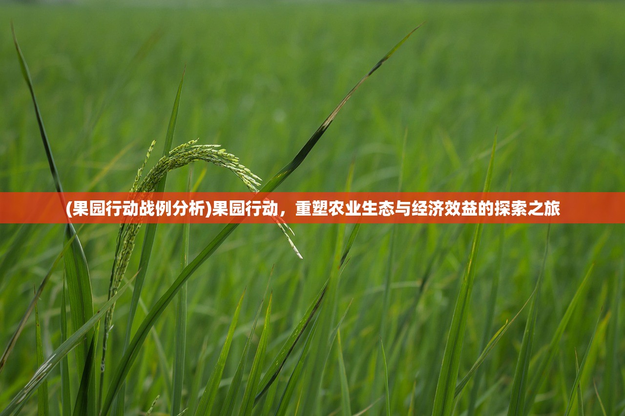 (果园行动战例分析)果园行动，重塑农业生态与经济效益的探索之旅