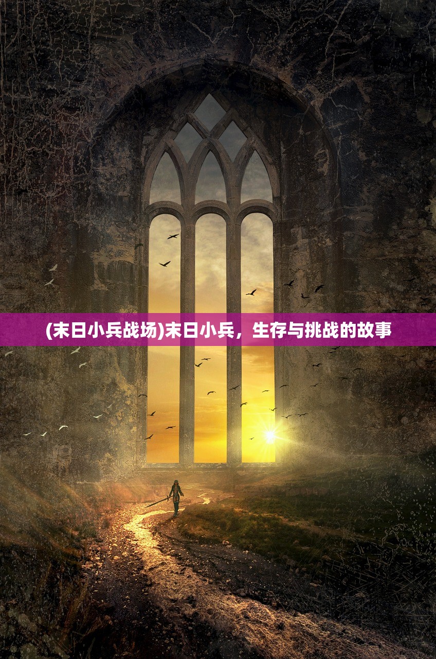 (末日小兵战场)末日小兵，生存与挑战的故事