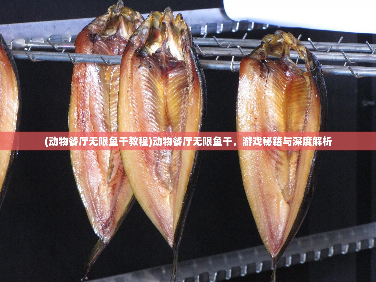 (动物餐厅无限鱼干教程)动物餐厅无限鱼干，游戏秘籍与深度解析