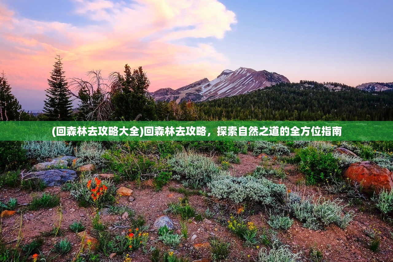 (回森林去攻略大全)回森林去攻略，探索自然之道的全方位指南
