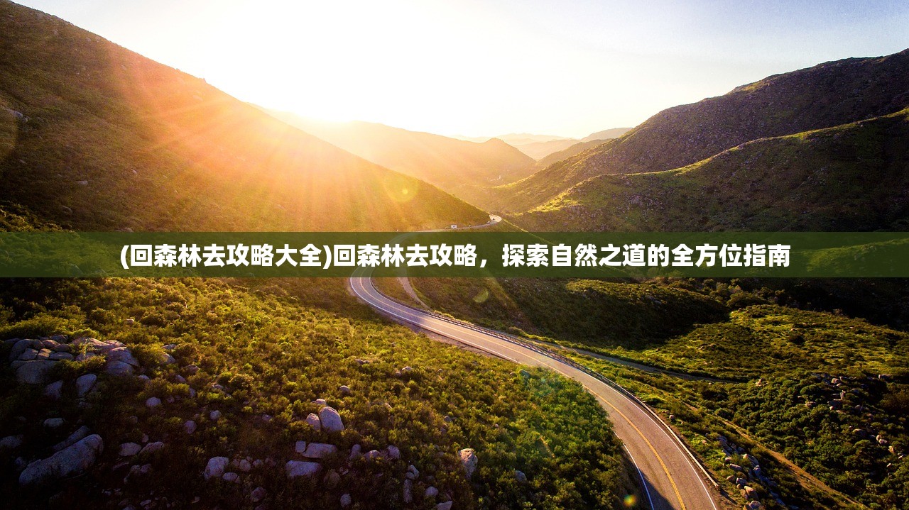 (回森林去攻略大全)回森林去攻略，探索自然之道的全方位指南
