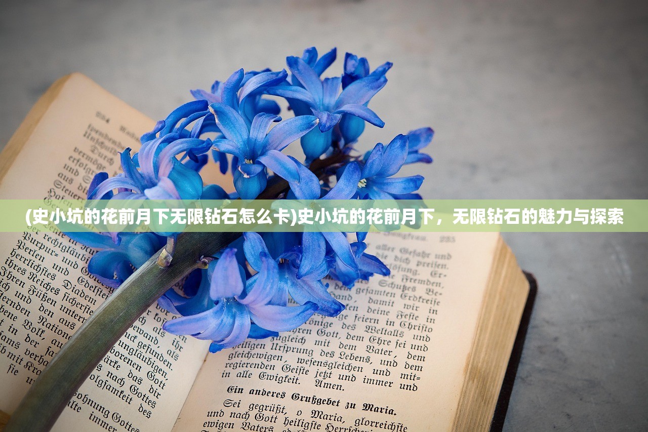 (史小坑的花前月下无限钻石怎么卡)史小坑的花前月下，无限钻石的魅力与探索