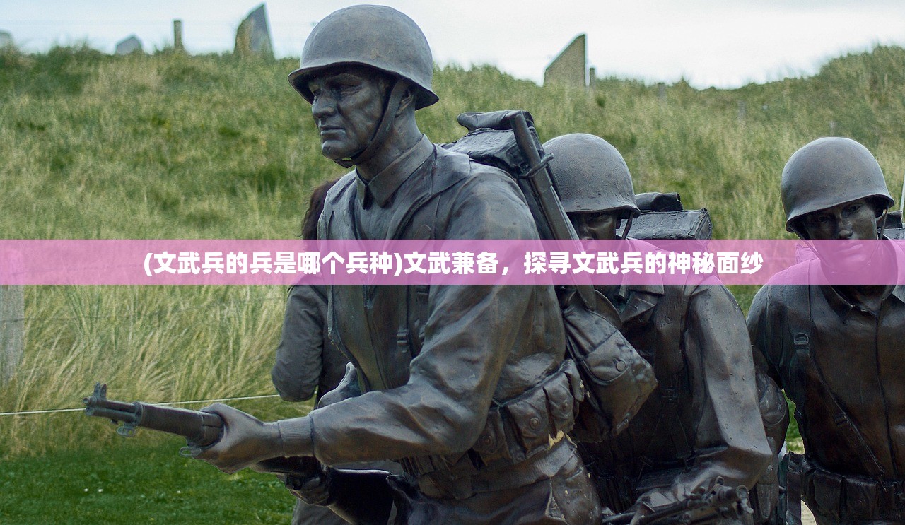(文武兵的兵是哪个兵种)文武兼备，探寻文武兵的神秘面纱