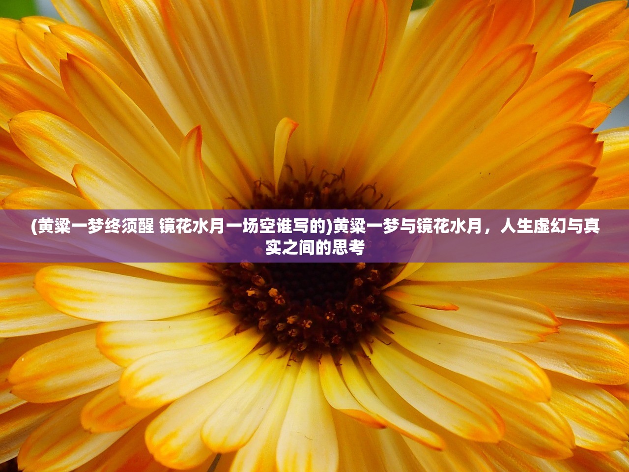 (黄粱一梦终须醒 镜花水月一场空谁写的)黄粱一梦与镜花水月，人生虚幻与真实之间的思考