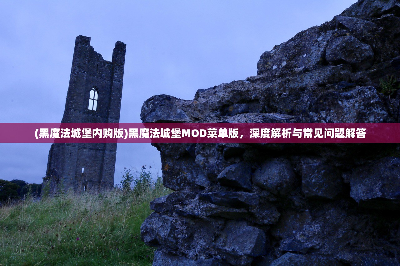 (黑魔法城堡内购版)黑魔法城堡MOD菜单版，深度解析与常见问题解答