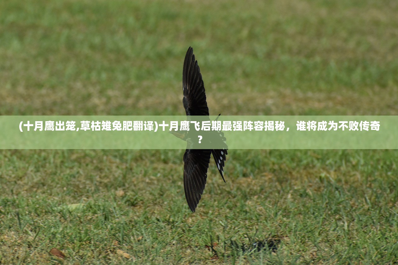 (魔域单机版最新版本在线玩)魔域单机版最新版本，游戏新体验与特色解析