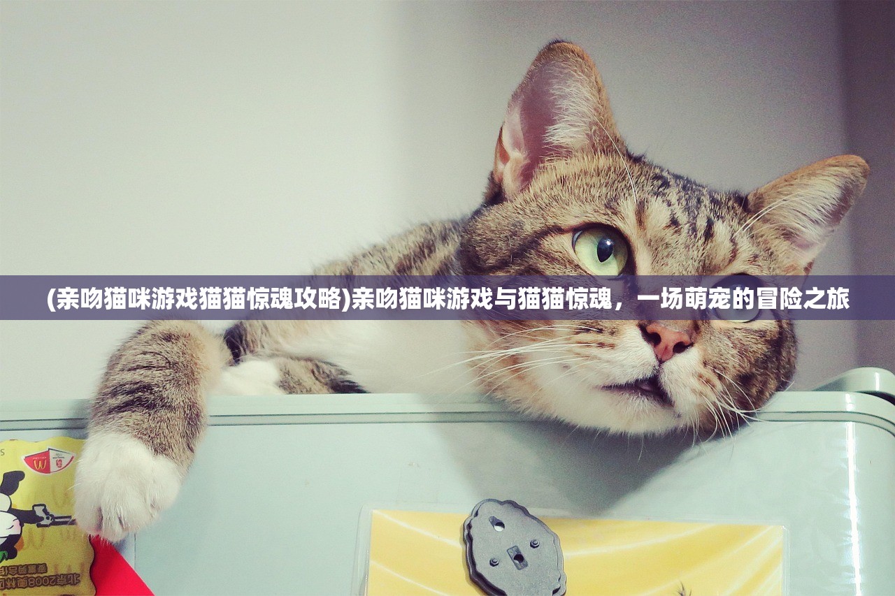 (亲吻猫咪游戏猫猫惊魂攻略)亲吻猫咪游戏与猫猫惊魂，一场萌宠的冒险之旅