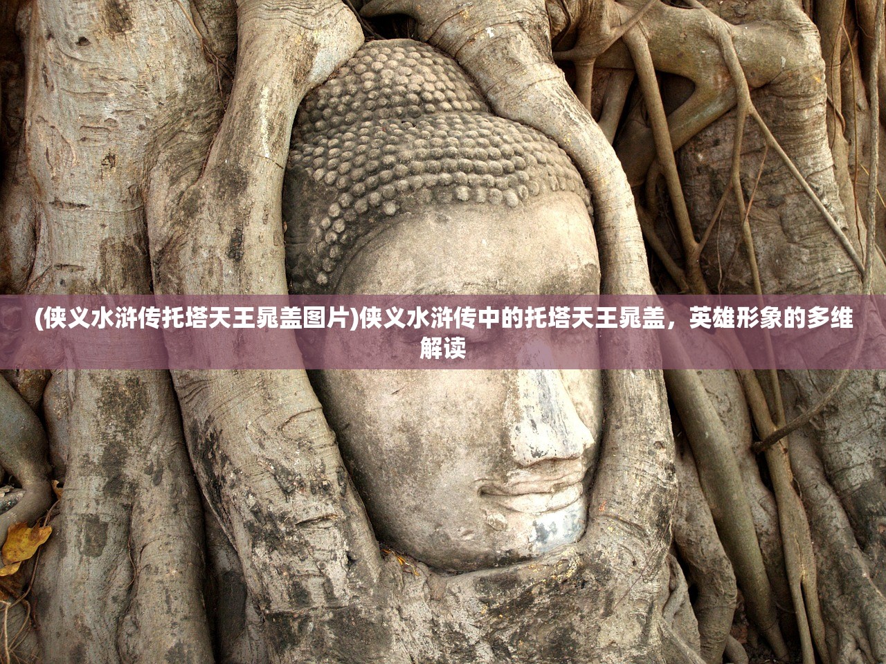 (侠义水浒传托塔天王晁盖图片)侠义水浒传中的托塔天王晁盖，英雄形象的多维解读