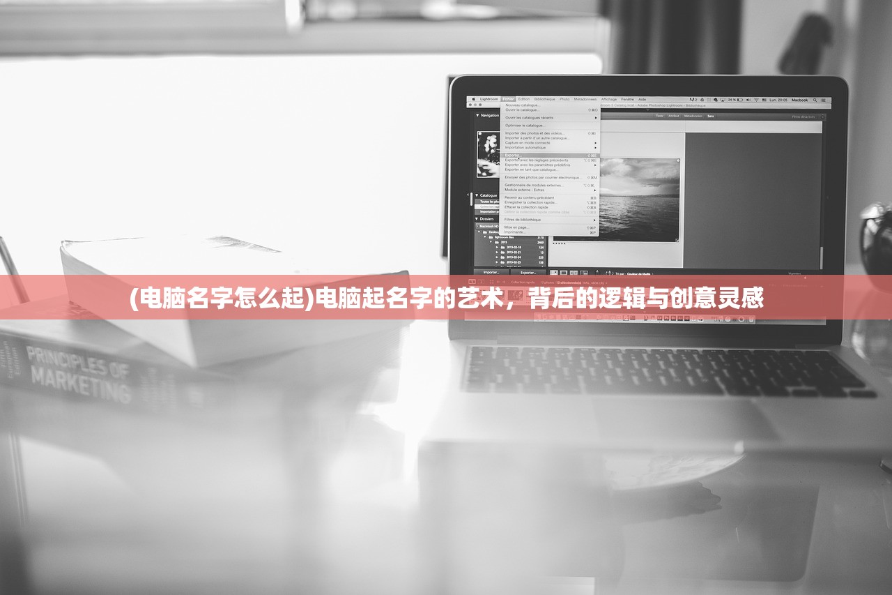 (电脑名字怎么起)电脑起名字的艺术，背后的逻辑与创意灵感