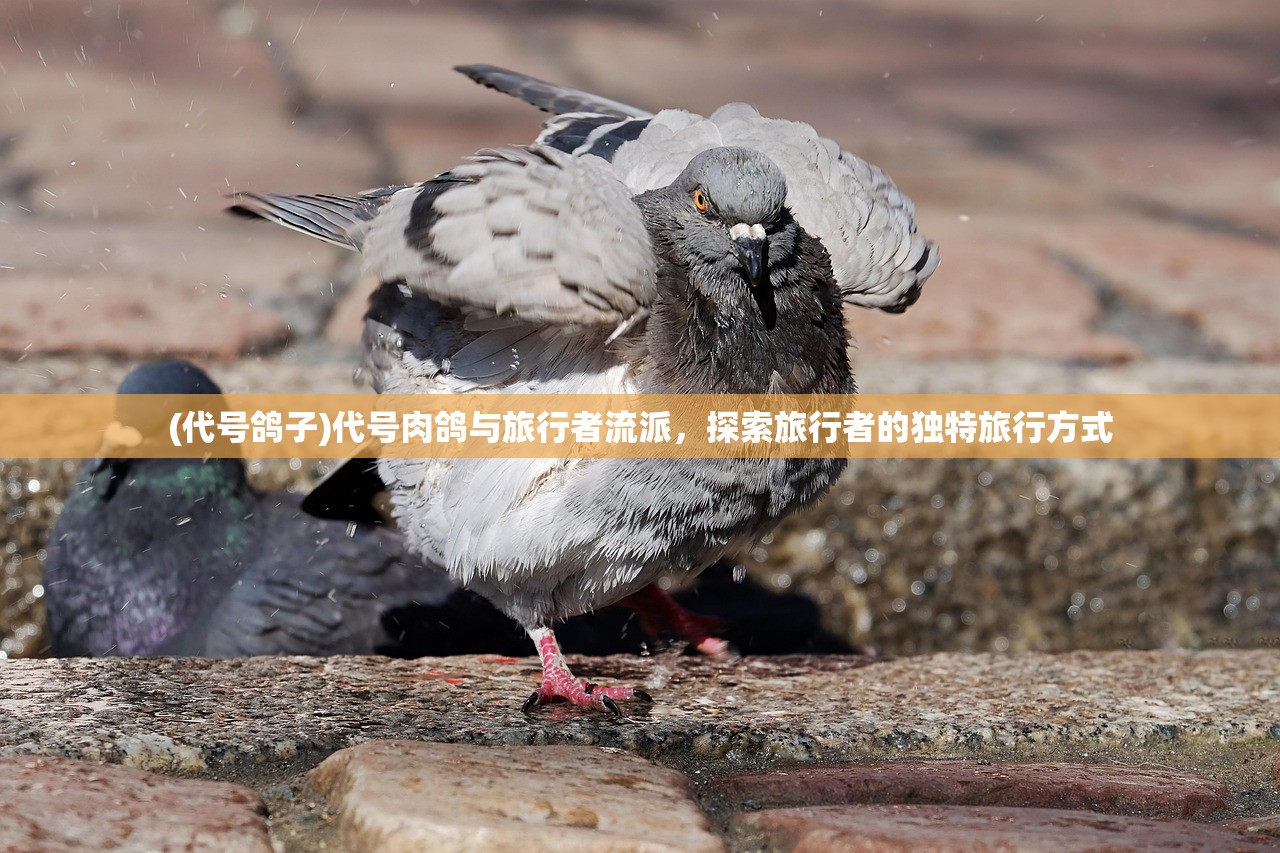 (代号鸽子)代号肉鸽与旅行者流派，探索旅行者的独特旅行方式