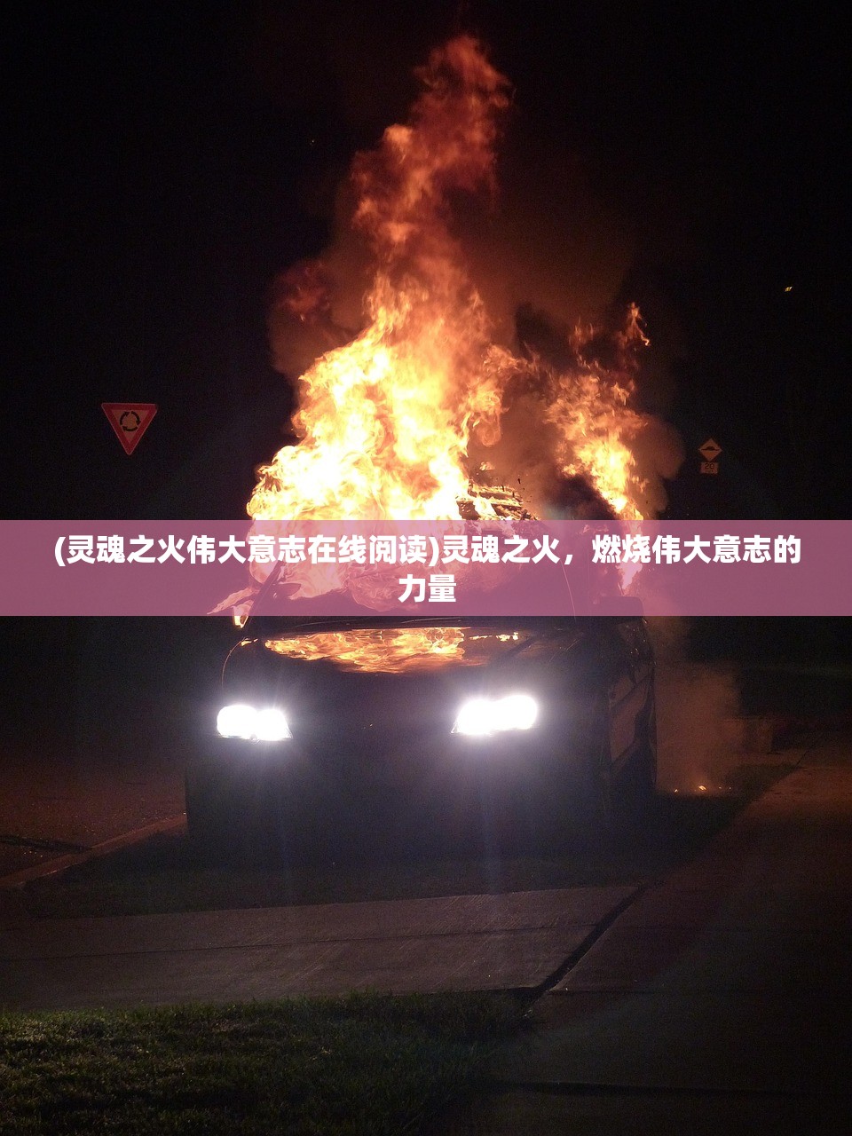 (灵魂之火伟大意志在线阅读)灵魂之火，燃烧伟大意志的力量