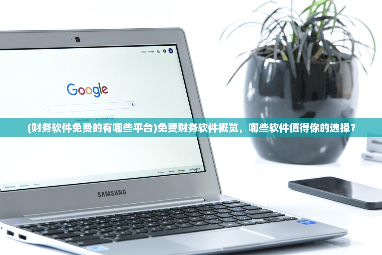 (财务软件免费的有哪些平台)免费财务软件概览，哪些软件值得你的选择？