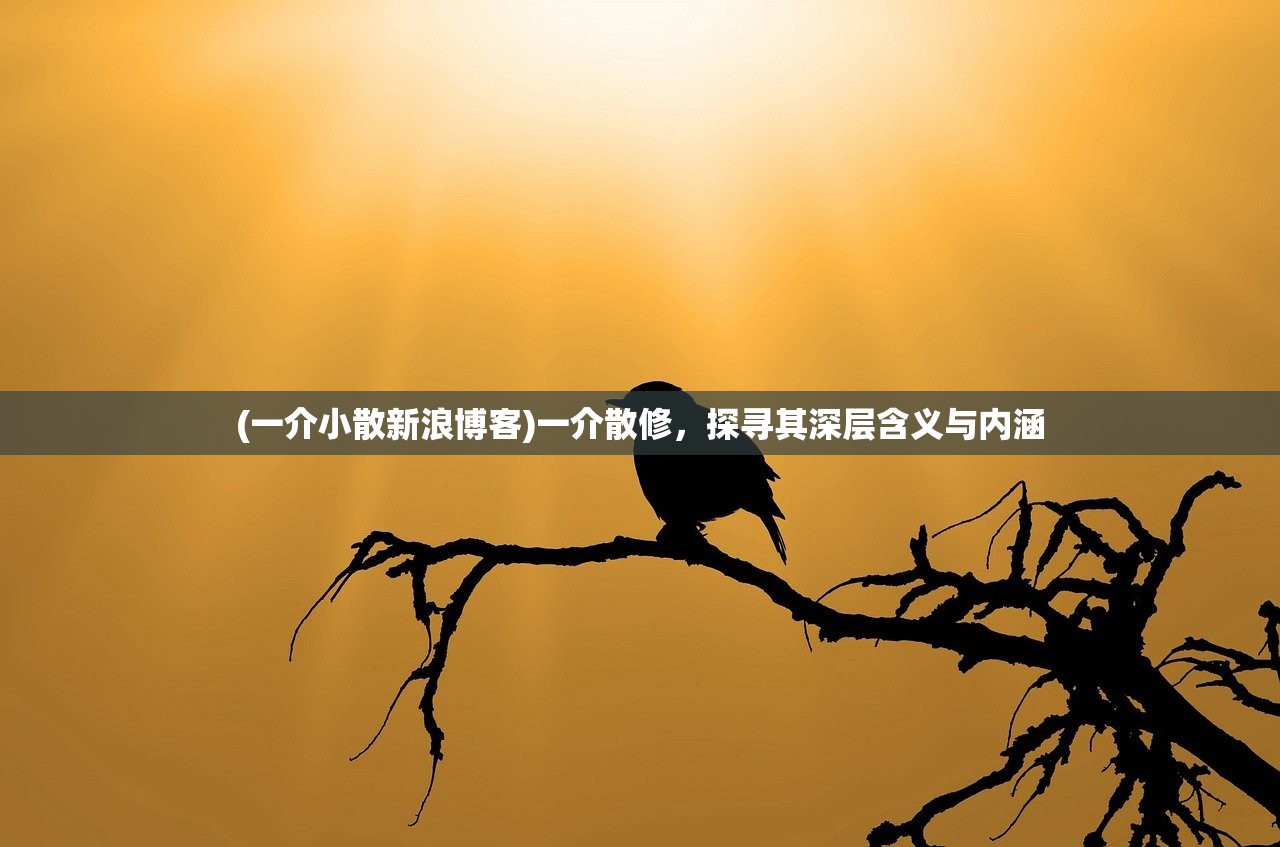 (一介小散新浪博客)一介散修，探寻其深层含义与内涵