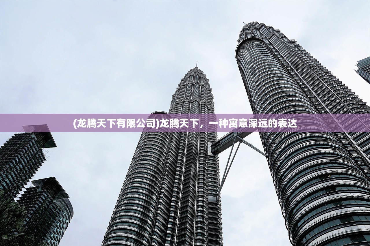 (龙腾天下有限公司)龙腾天下，一种寓意深远的表达