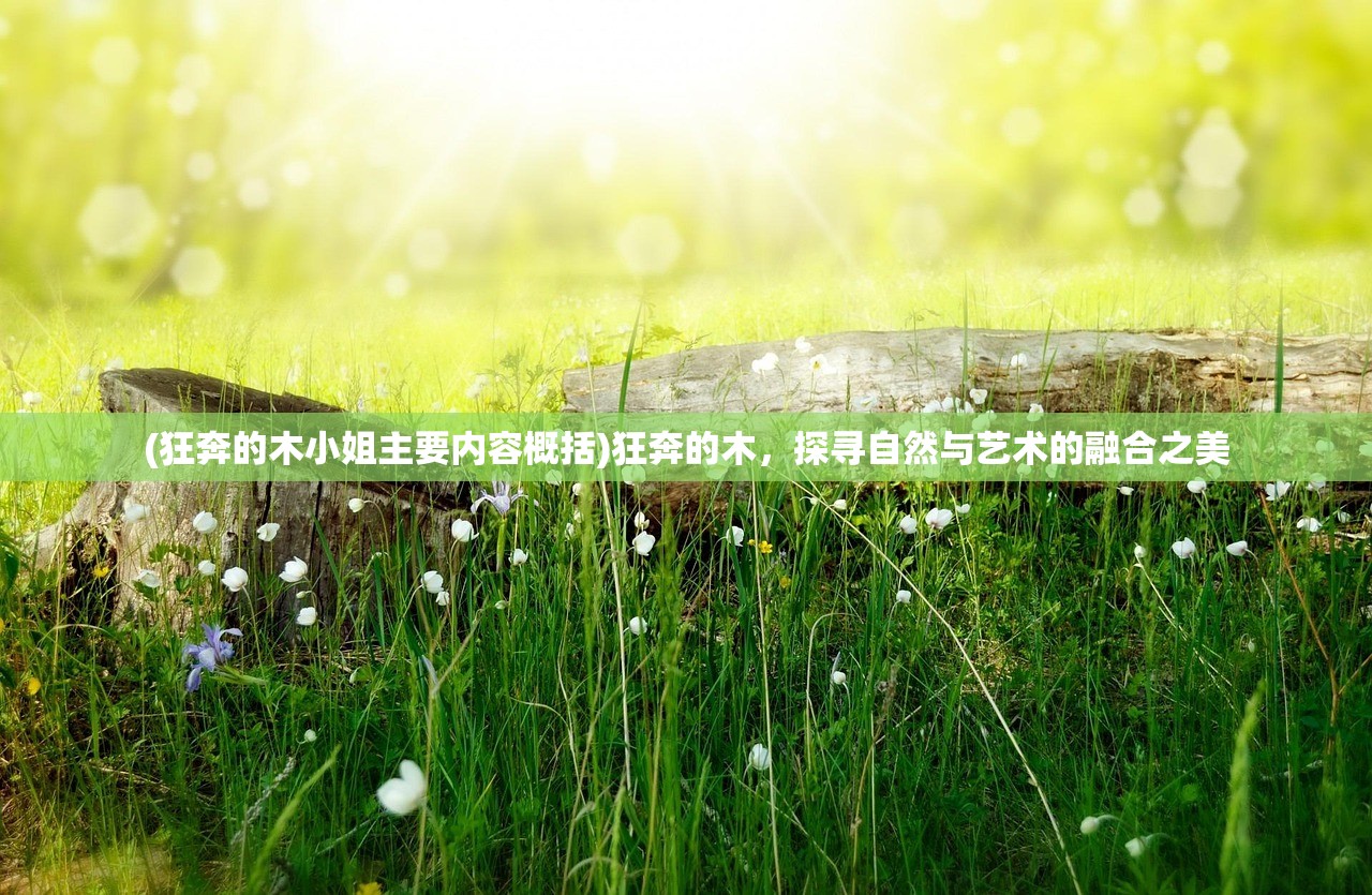 (狂奔的木小姐主要内容概括)狂奔的木，探寻自然与艺术的融合之美