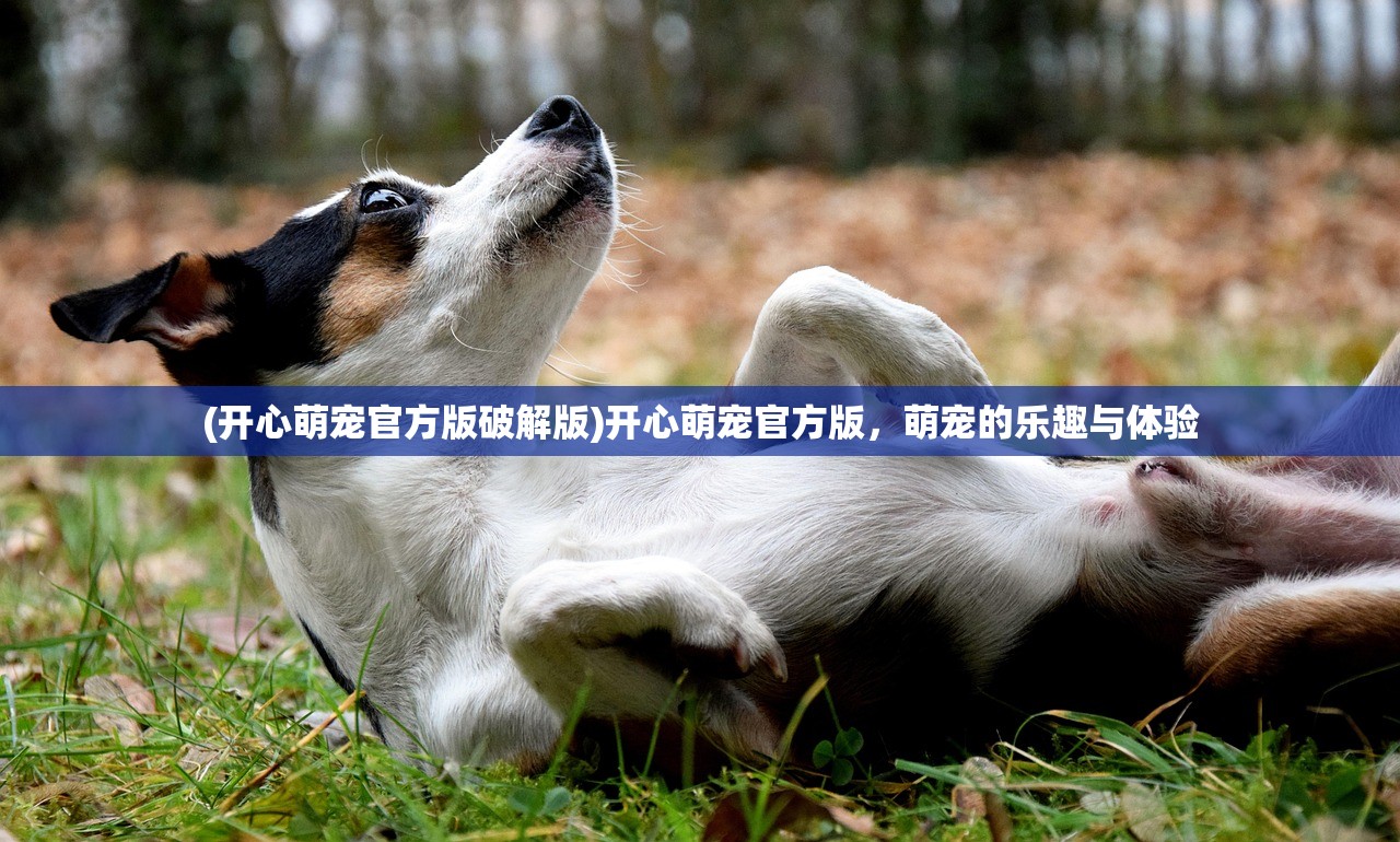 (开心萌宠官方版破解版)开心萌宠官方版，萌宠的乐趣与体验