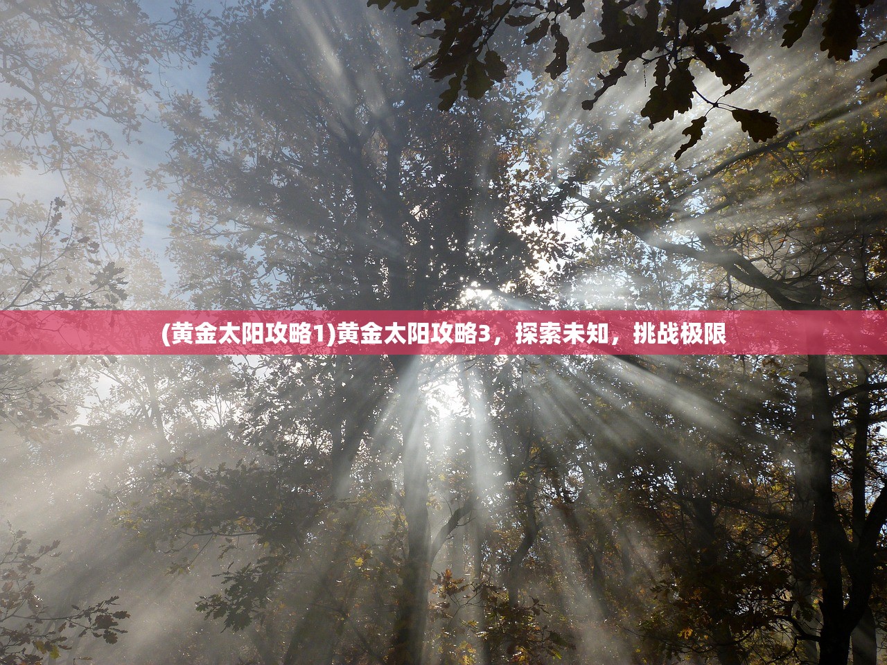 (黄金太阳攻略1)黄金太阳攻略3，探索未知，挑战极限