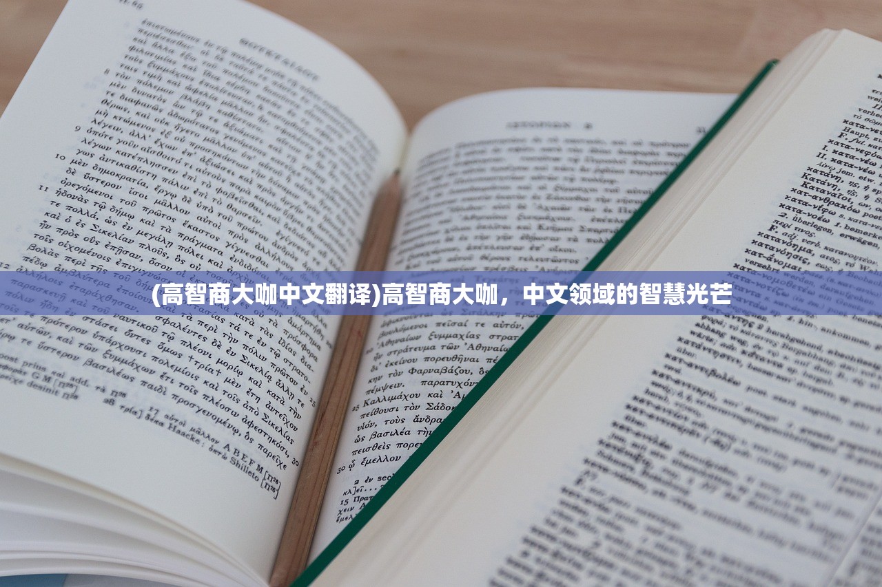 (高智商大咖中文翻译)高智商大咖，中文领域的智慧光芒