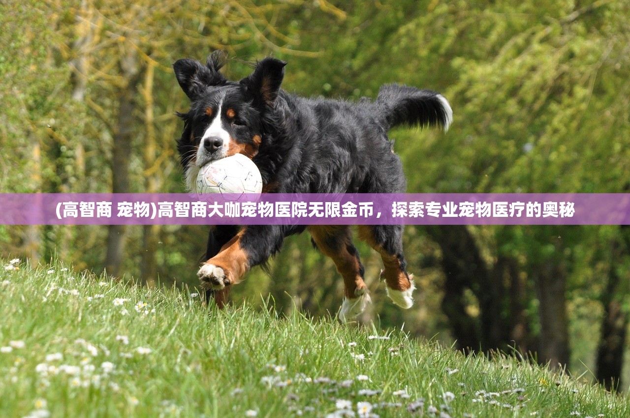 (新葫芦兄弟第一季上篇)新葫芦兄弟第一季，传承与创新的故事魅力