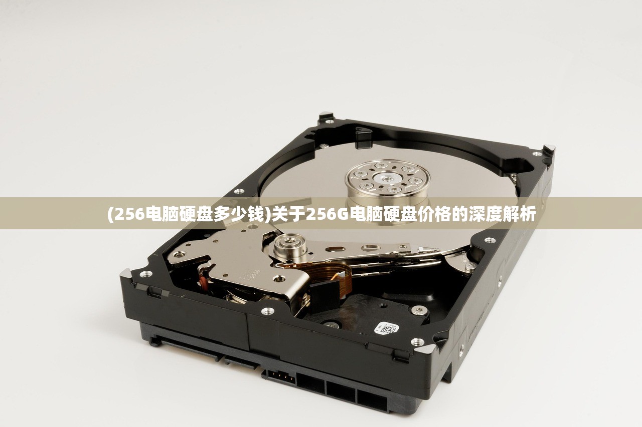(256电脑硬盘多少钱)关于256G电脑硬盘价格的深度解析