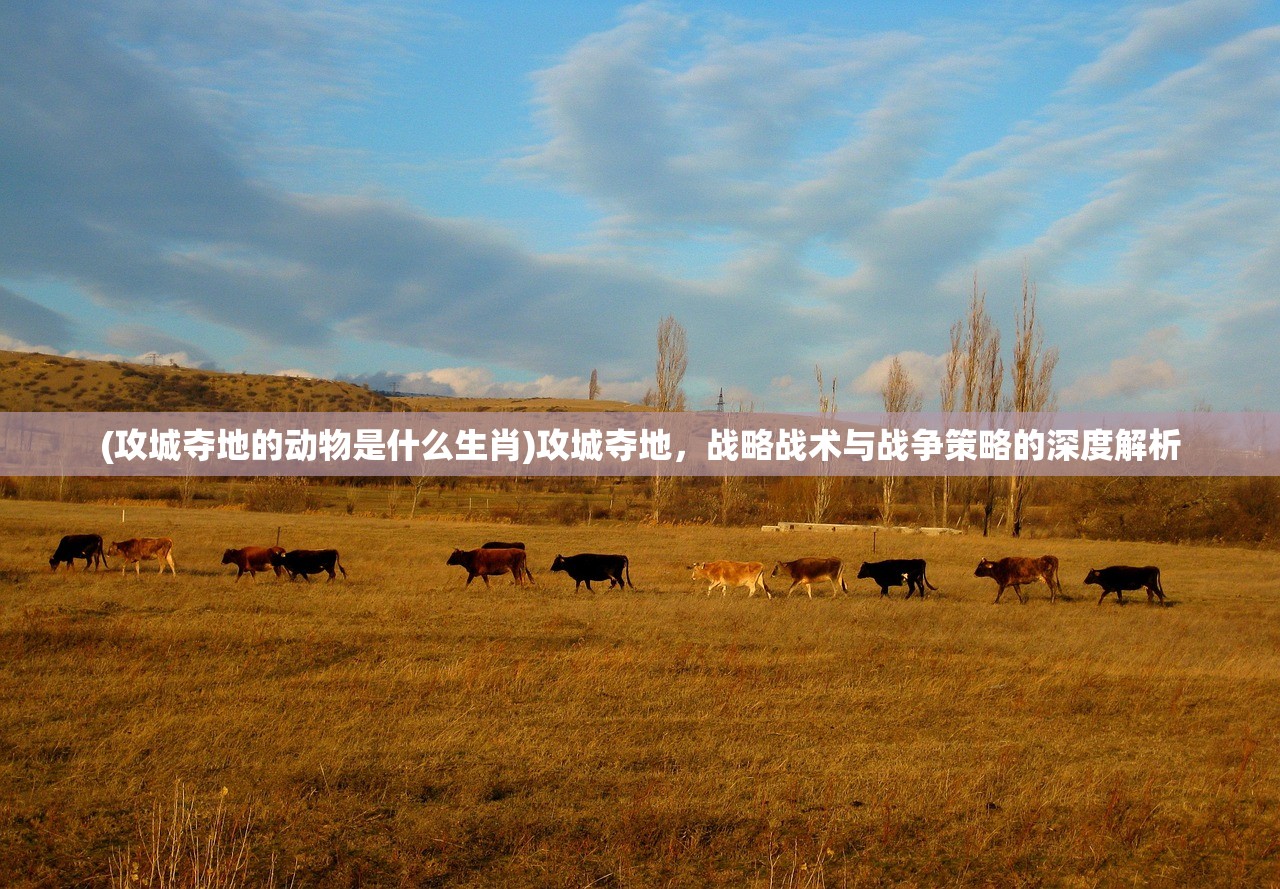 (攻城夺地的动物是什么生肖)攻城夺地，战略战术与战争策略的深度解析
