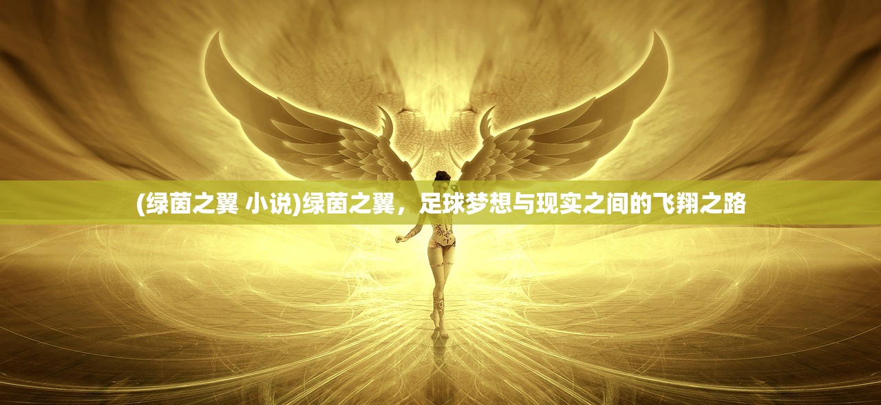 (绿茵之翼 小说)绿茵之翼，足球梦想与现实之间的飞翔之路